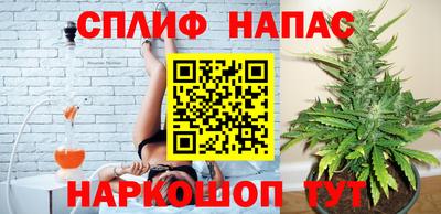 твердый Заводоуковск